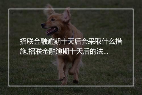 招联金融逾期十天后会采取什么措施,招联金融逾期十天后的法律处理