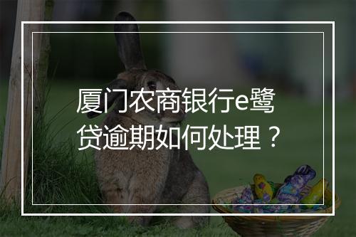 厦门农商银行e鹭贷逾期如何处理？