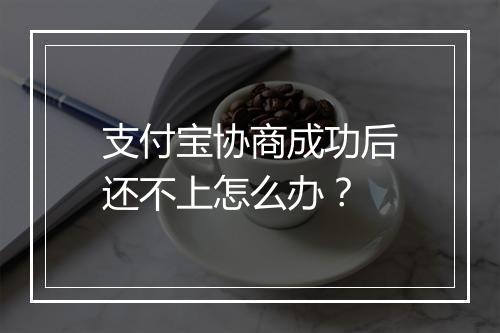 支付宝协商成功后还不上怎么办？