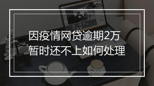 因疫情网贷逾期2万暂时还不上如何处理