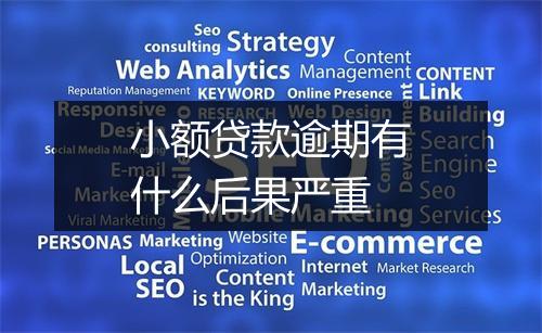 小额贷款逾期有什么后果严重