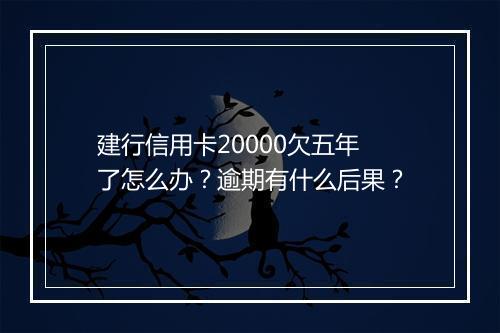 建行信用卡20000欠五年了怎么办？逾期有什么后果？