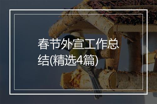 春节外宣工作总结(精选4篇)