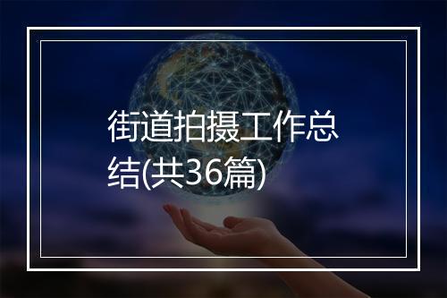 街道拍摄工作总结(共36篇)
