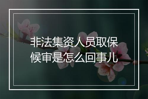 非法集资人员取保候审是怎么回事儿