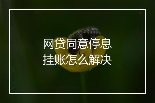 网贷同意停息挂账怎么解决