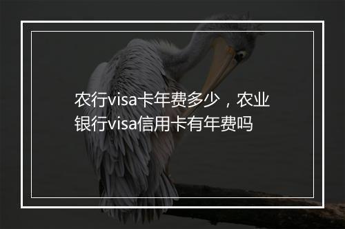 农行visa卡年费多少，农业银行visa信用卡有年费吗