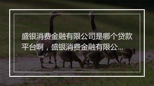 盛银消费金融有限公司是哪个贷款平台啊，盛银消费金融有限公司客服电话是多少