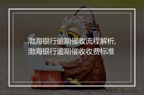 渤海银行逾期催收流程解析,渤海银行逾期催收收费标准