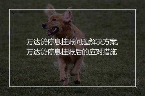 万达贷停息挂账问题解决方案,万达贷停息挂账后的应对措施