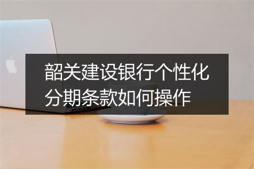韶关建设银行个性化分期条款如何操作