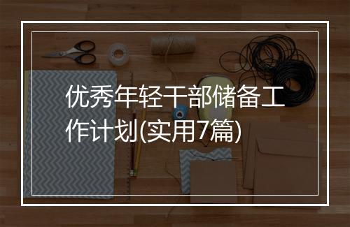 优秀年轻干部储备工作计划(实用7篇)