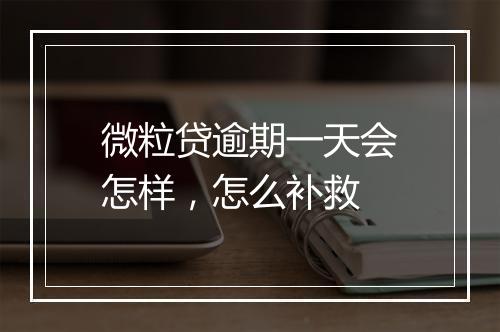 微粒贷逾期一天会怎样，怎么补救