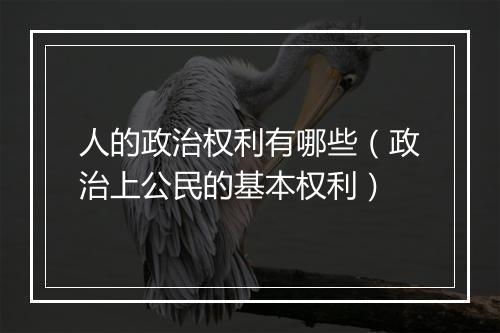 人的政治权利有哪些（政治上公民的基本权利）