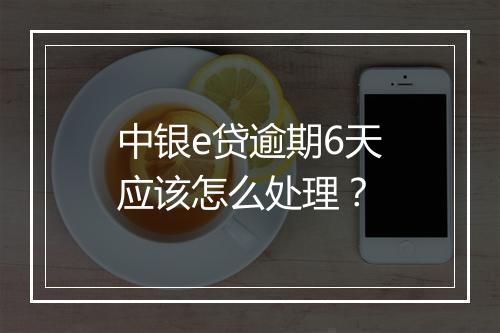 中银e贷逾期6天应该怎么处理？