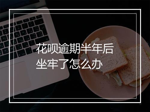 花呗逾期半年后坐牢了怎么办