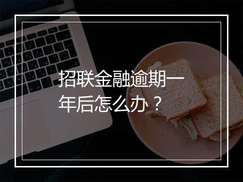 招联金融逾期一年后怎么办？