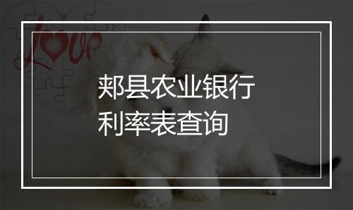郏县农业银行利率表查询