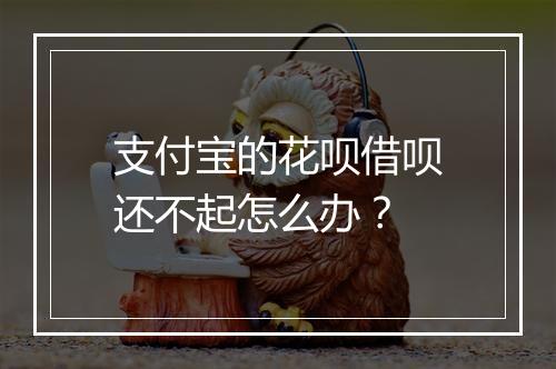 支付宝的花呗借呗还不起怎么办？