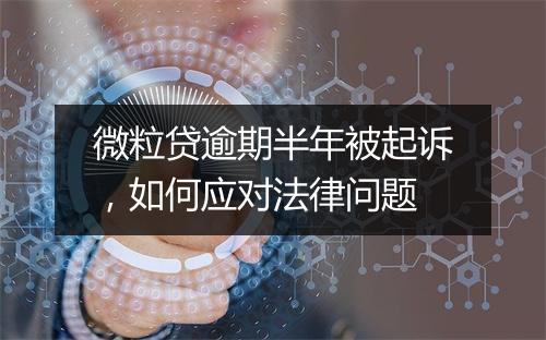 微粒贷逾期半年被起诉，如何应对法律问题