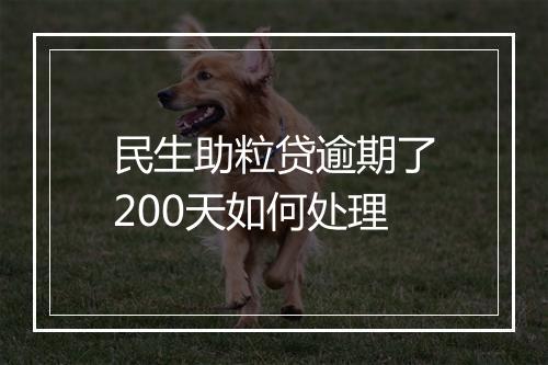 民生助粒贷逾期了200天如何处理