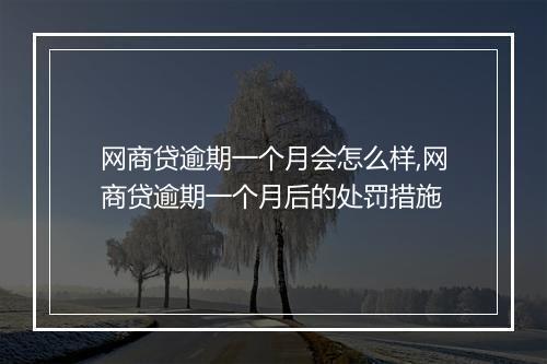 网商贷逾期一个月会怎么样,网商贷逾期一个月后的处罚措施