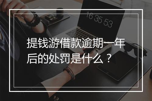 提钱游借款逾期一年后的处罚是什么？