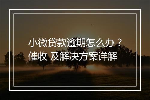 小微贷款逾期怎么办？催收 及解决方案详解