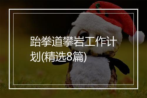 跆拳道攀岩工作计划(精选8篇)