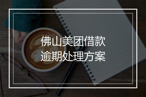 佛山美团借款逾期处理方案