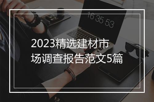 2023精选建材市场调查报告范文5篇
