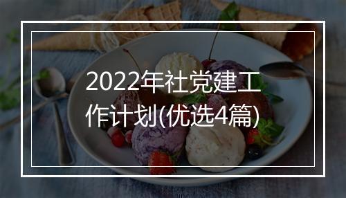 2022年社党建工作计划(优选4篇)