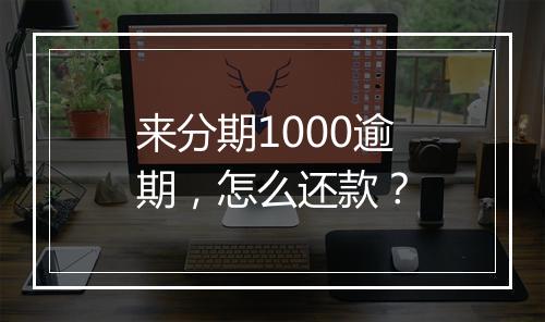来分期1000逾期，怎么还款？