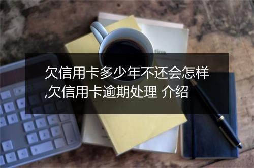 欠信用卡多少年不还会怎样,欠信用卡逾期处理 介绍