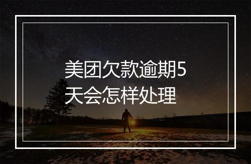 美团欠款逾期5天会怎样处理