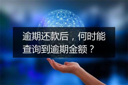 逾期还款后，何时能查询到逾期金额？