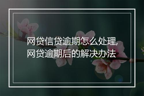 网贷信贷逾期怎么处理,网贷逾期后的解决办法