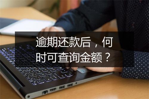 逾期还款后，何时可查询金额？