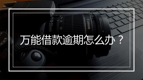 万能借款逾期怎么办？