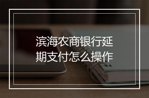 滨海农商银行延期支付怎么操作