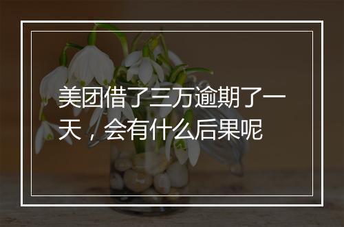 美团借了三万逾期了一天，会有什么后果呢