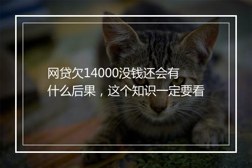 网贷欠14000没钱还会有什么后果，这个知识一定要看