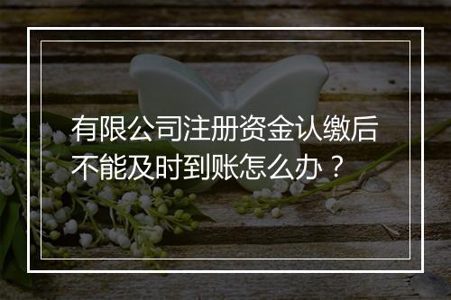 有限公司注册资金认缴后不能及时到账怎么办？