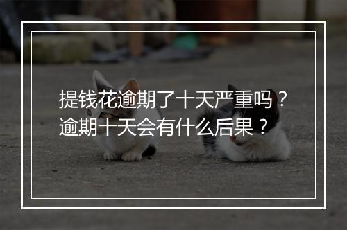 提钱花逾期了十天严重吗？逾期十天会有什么后果？