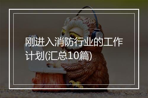 刚进入消防行业的工作计划(汇总10篇)