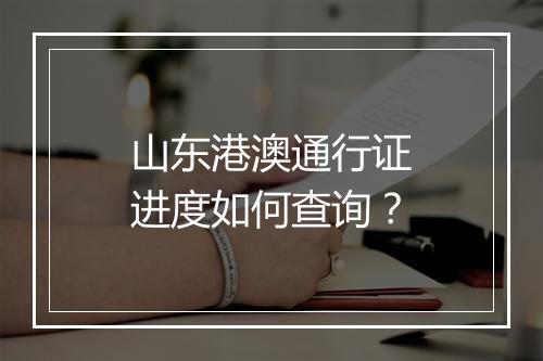 山东港澳通行证进度如何查询？
