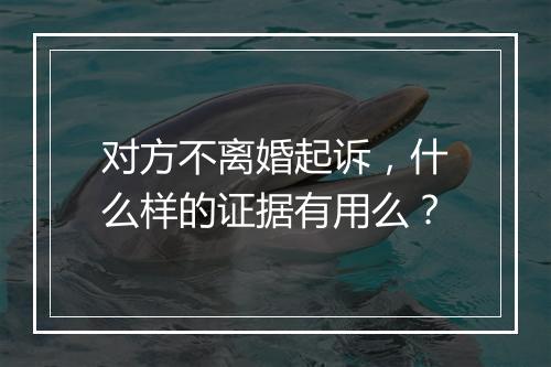 对方不离婚起诉，什么样的证据有用么？