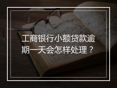 工商银行小额贷款逾期一天会怎样处理？