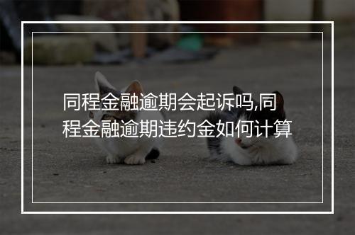 同程金融逾期会起诉吗,同程金融逾期违约金如何计算