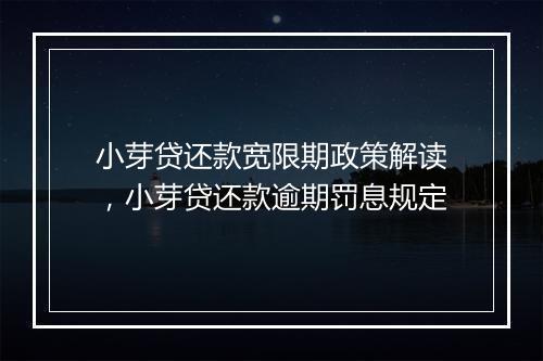小芽贷还款宽限期政策解读，小芽贷还款逾期罚息规定
